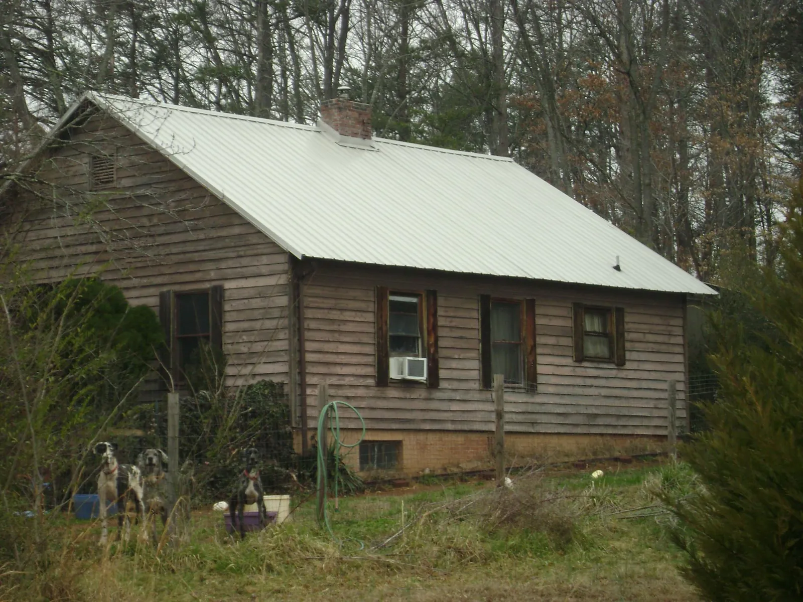 White metal roof on an old wood sided farmhouse, from a Asphalt Shingle Roof Repair job in Washington